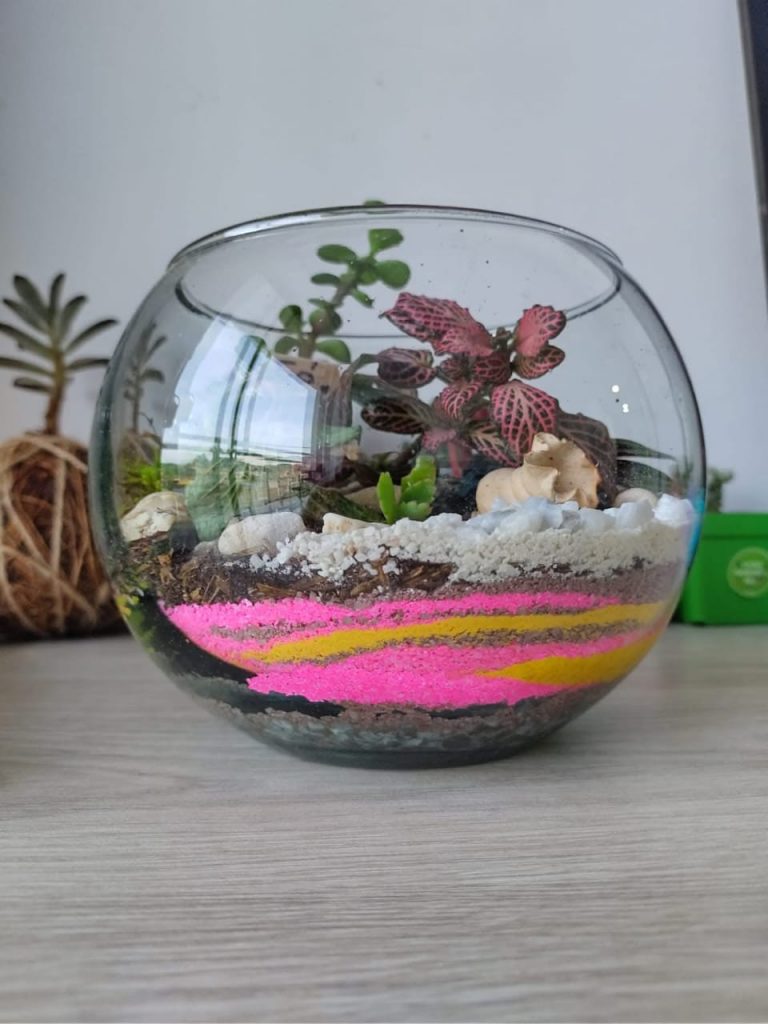 WhatsApp Image 2025-07-26 at 16.31.46 (1)