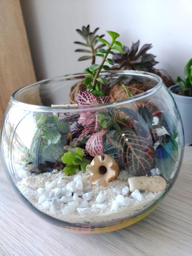 WhatsApp Image 2025-07-26 at 16.57.41 (1)