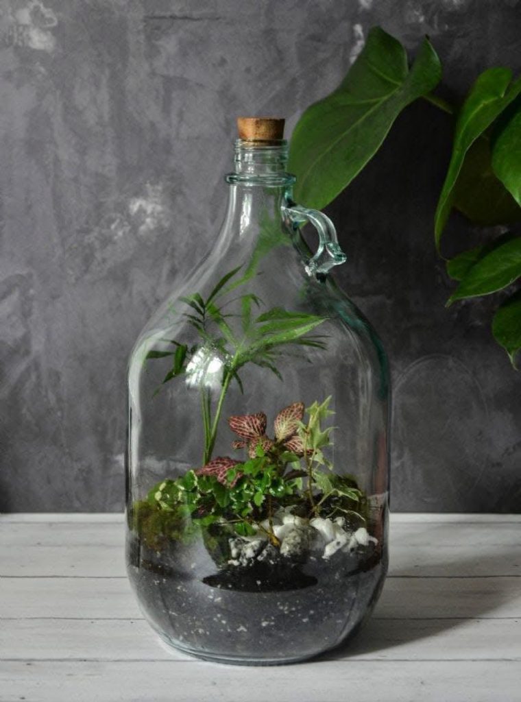 WhatsApp Image 2025-07-26 at 16.57.41 (3)