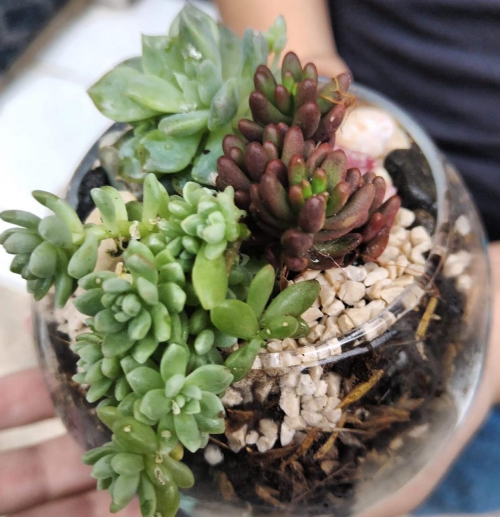 WhatsApp Image 2025-07-26 at 16.57.41